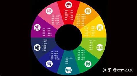 紫色五行